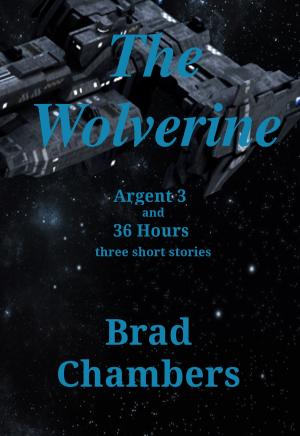 Cover of the book The Wolverine by Brad Chambers