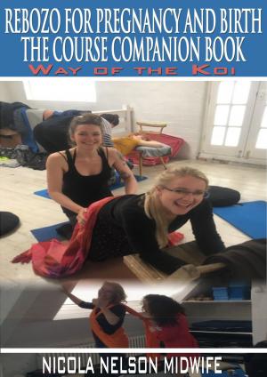 bigCover of the book The Rebozo Course Companion Book by 