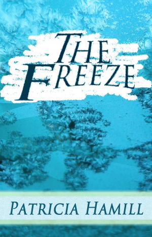 Book cover of The Freeze