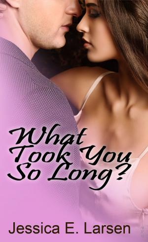 Cover of the book What Took You So Long? (Second Edition) by DC Renee