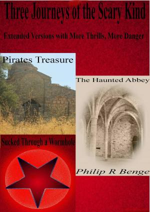 Cover of the book Three Journeys of the Scary Kind by Philip R Benge