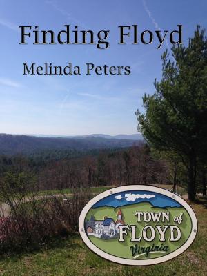 Cover of the book Finding Floyd by Katryn Ali