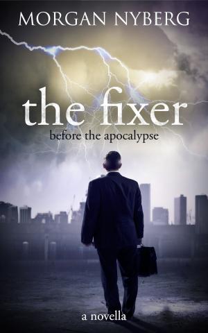 Cover of the book The Fixer by V. Moody
