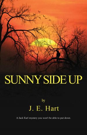 Cover of the book Sunny Side Up by Corey Daggett