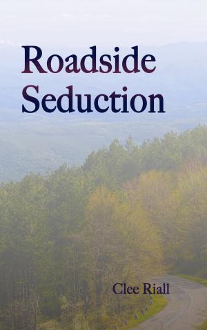bigCover of the book Roadside Seduction by 