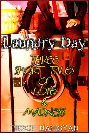 Book cover of Laundry Day (Three Short Tales of Love & Madness)