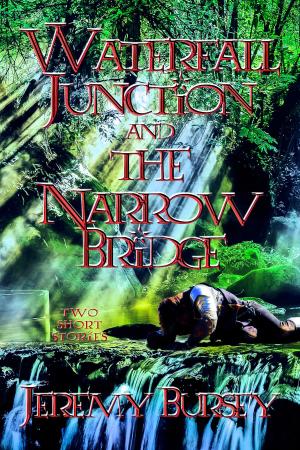 Cover of the book Waterfall Junction and The Narrow Bridge by Lizzy Grimm, Lucy Grimm