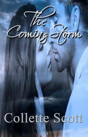 Cover of the book The Coming Storm by Lainie Suzanne