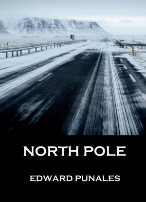 Cover of the book North Pole by Amily Clark