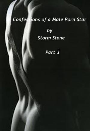 Cover of the book Confessions of a Male Porn Star 3 by Amneris Di Cesare