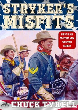 Cover of the book Stryker's Misfits 1: Stryker's Misfits by JR Roberts