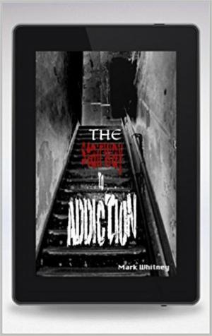 Cover of the book The Stairway to Addiction by Lisa Frederiksen