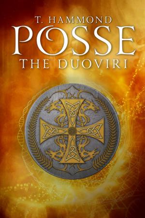 Book cover of Posse: The Duoviri