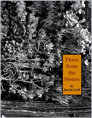 Cover of the book Three from the Stones by Deborah Romare, Vincent J Wiley
