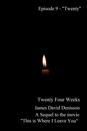 Book cover of Twenty Four Weeks: Episode 9 - "Twenty"