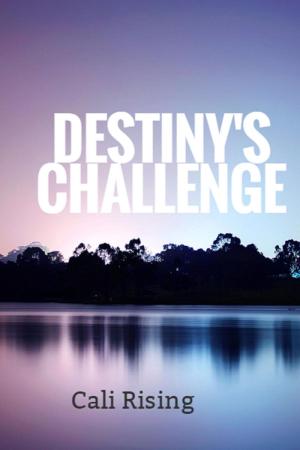 Book cover of Destiny's Challenge