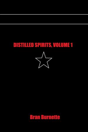 Cover of the book Distilled Spirits, Volume 1 by 護玄