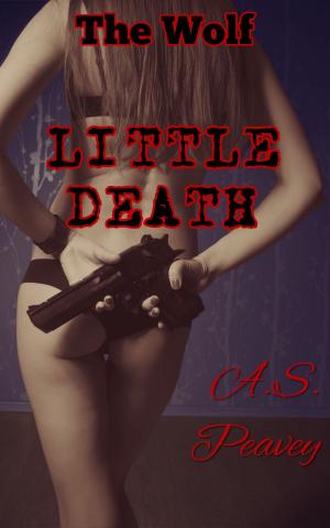 Cover of Little Death