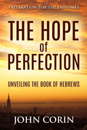 Cover of the book The Hope of Perfection by Cecil J. duCille