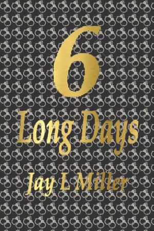 Cover of the book 6 Long Days by NovaStorm Media