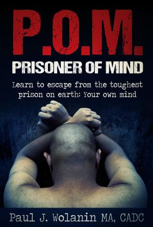 Cover of the book Prisoner of Mind by Josh Holt
