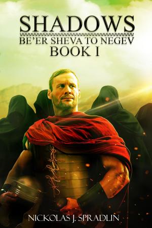 Cover of the book Shadows Be'er Sheva To Negev Book I by Benjamin Hope