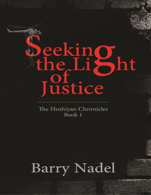 Cover of the book Seeking the Light of Justice by Sandra Staines