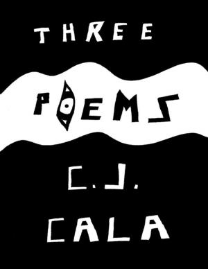 bigCover of the book Three Poems by 