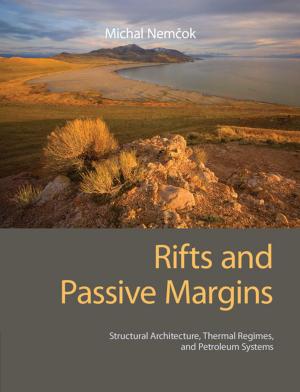 Cover of the book Rifts and Passive Margins by Catherine Sider Hamilton
