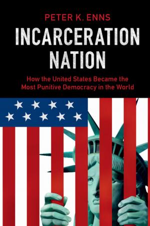 Cover of the book Incarceration Nation by Joseph Katz, Allen Plotkin