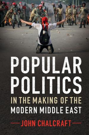 bigCover of the book Popular Politics in the Making of the Modern Middle East by 