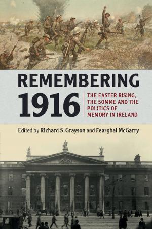 Cover of the book Remembering 1916 by Paul Burstein