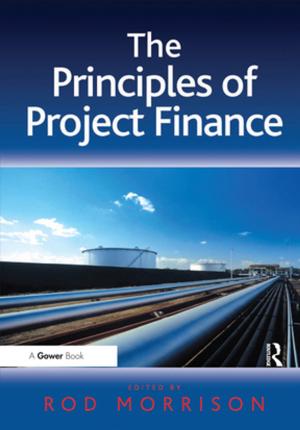 Cover of the book The Principles of Project Finance by David Premack