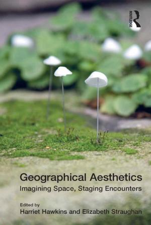 Cover of the book Geographical Aesthetics by William Van Zyl