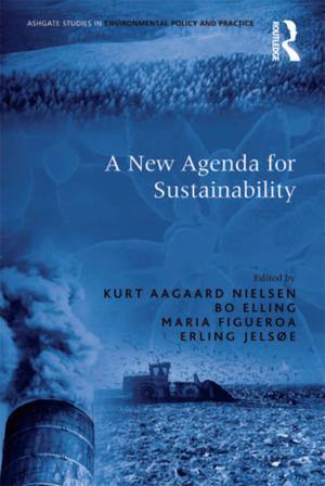 Cover of the book A New Agenda for Sustainability by Daphne Halkias, Paul Thurman, Sylva Caracatsanis, Nicholas Harkiolakis