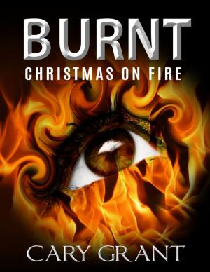 Cover of the book Burnt - Christmas on Fire by Erich Scott