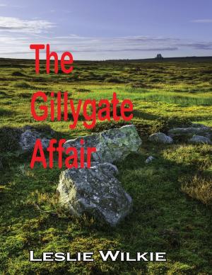 Book cover of The Gillygate Affair