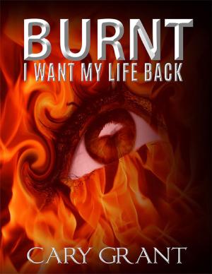 Cover of the book Burnt - I Want My Life Back by Dave Armstrong