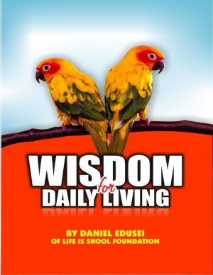 Cover of the book Wisdom for Daily Living by D. Dormi