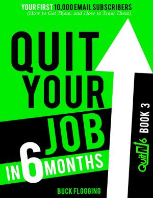 Cover of the book Quit Your Job In 6 Months: Book 3 - Your First 10,000 Email Subscribers (How to Get Them, and How to Treat Them) by Barry Durham