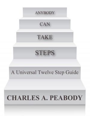 Cover of the book Anybody Can Take Steps by Aaron Strent
