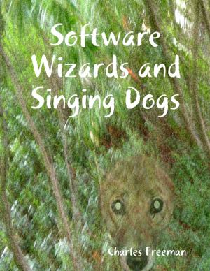 Cover of the book Software Wizards and Singing Dogs by Briana Blair