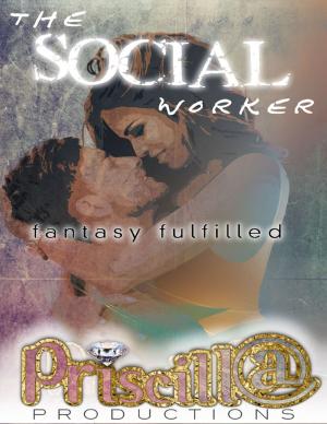 Cover of the book The Social Worker by Gary Welkom