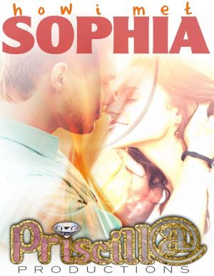 Cover of the book How I Met Sophia by Alistair Wilkinson