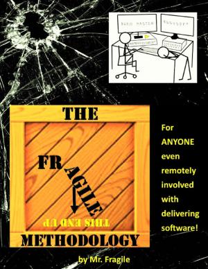 Cover of the book The Fragile Methodology by Richard Rider, John T. Fuller