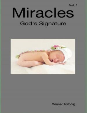 Cover of the book Miracles: God's Signature by Kiran David
