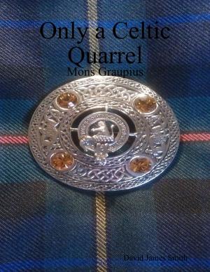 bigCover of the book Only a Celtic Quarrel by 