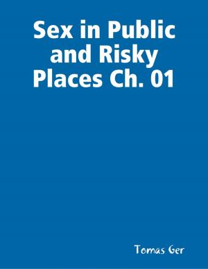 bigCover of the book Sex in Public and Risky Places Ch. 01 by 