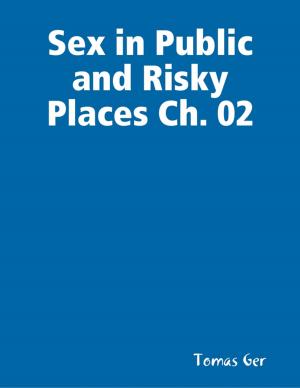 bigCover of the book Sex in Public and Risky Places Ch. 02 by 