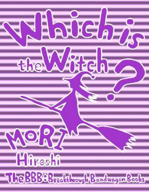 Cover of the book Which Is the Witch? by Heather Hamel